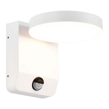 LED Outdoor wall flexible light with sensor LED/17W/230V IP65 4000K white