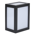 LED Outdoor Wall Light, 12W/230V, 4000K, IP65, Black