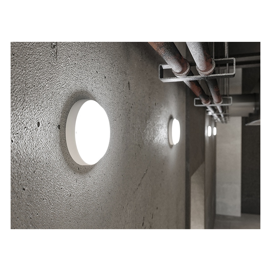 LED Outdoor Wall Light, 18W, 230V, IP54, White