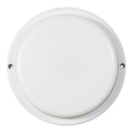 LED Outdoor Wall Light 9W 230V IP54 White