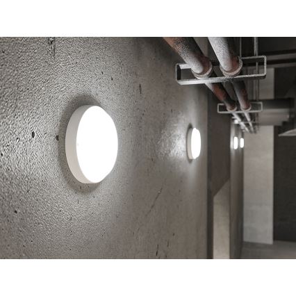 LED Outdoor Wall Light 9W 230V IP54 White