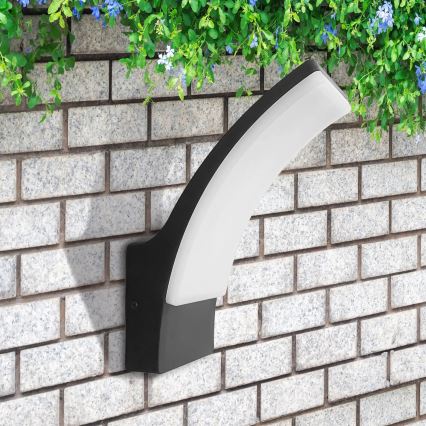 LED Outdoor wall light AMY LED/12W/230V IP44 black