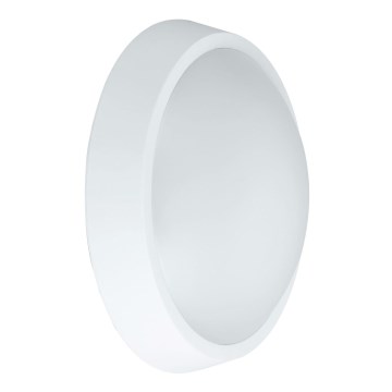 LED Outdoor wall light BULKHEAD LED/30W/230V 4000K IP54 white