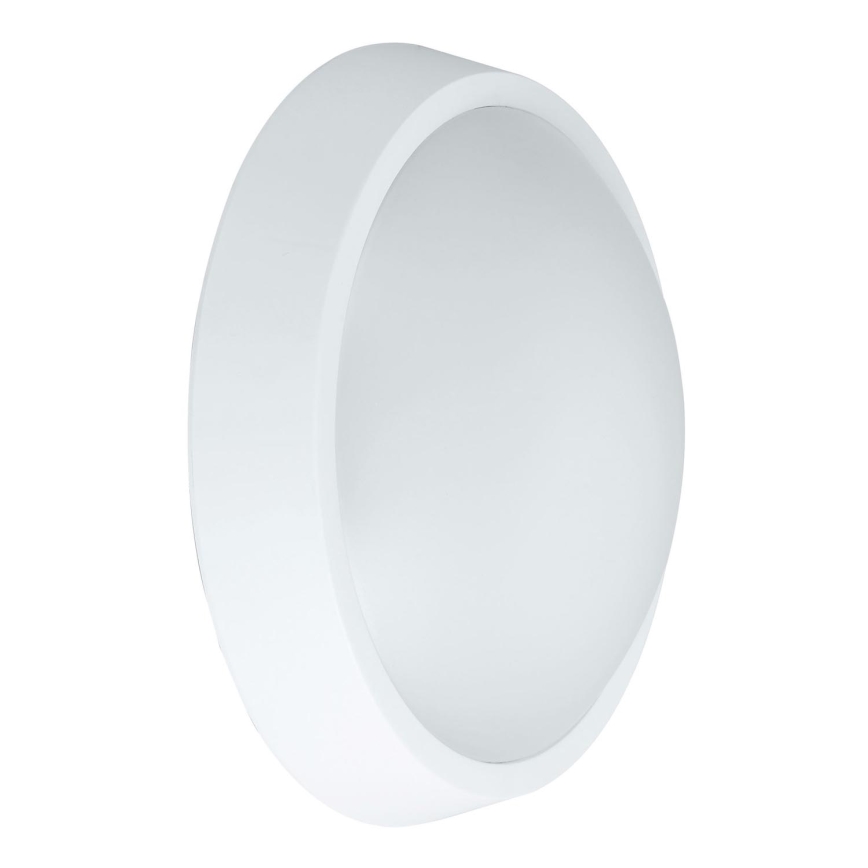 LED Outdoor wall light BULKHEAD LED/30W/230V 4000K IP54 white