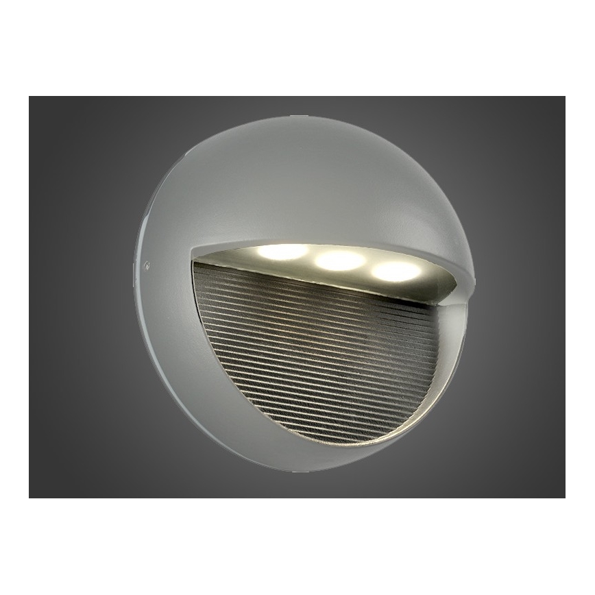 LED Outdoor wall light CIOLLA LED/3W/230V IP54