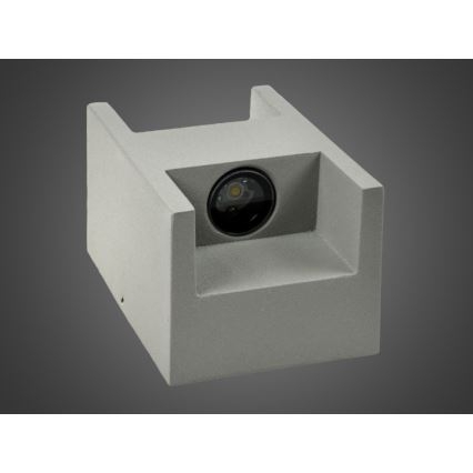 LED Outdoor wall light CISSA 2xLED/2W/230V IP54