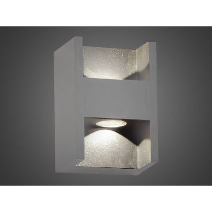 LED Outdoor wall light CISSA 2xLED/2W/230V IP54