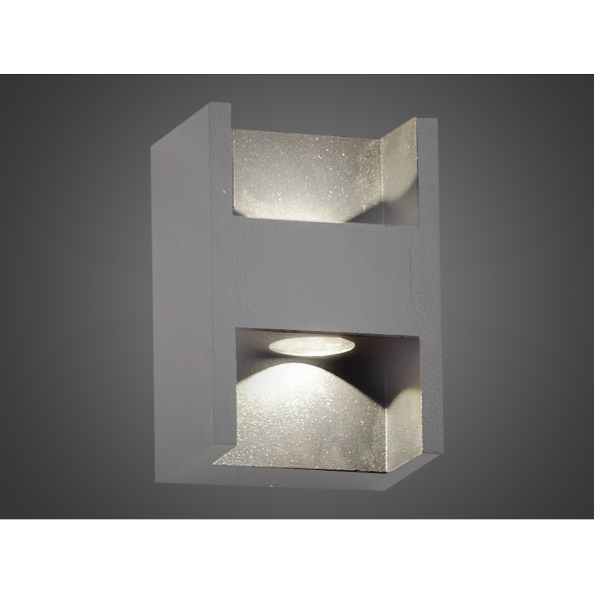 LED Outdoor wall light CISSA 2xLED/2W/230V IP54