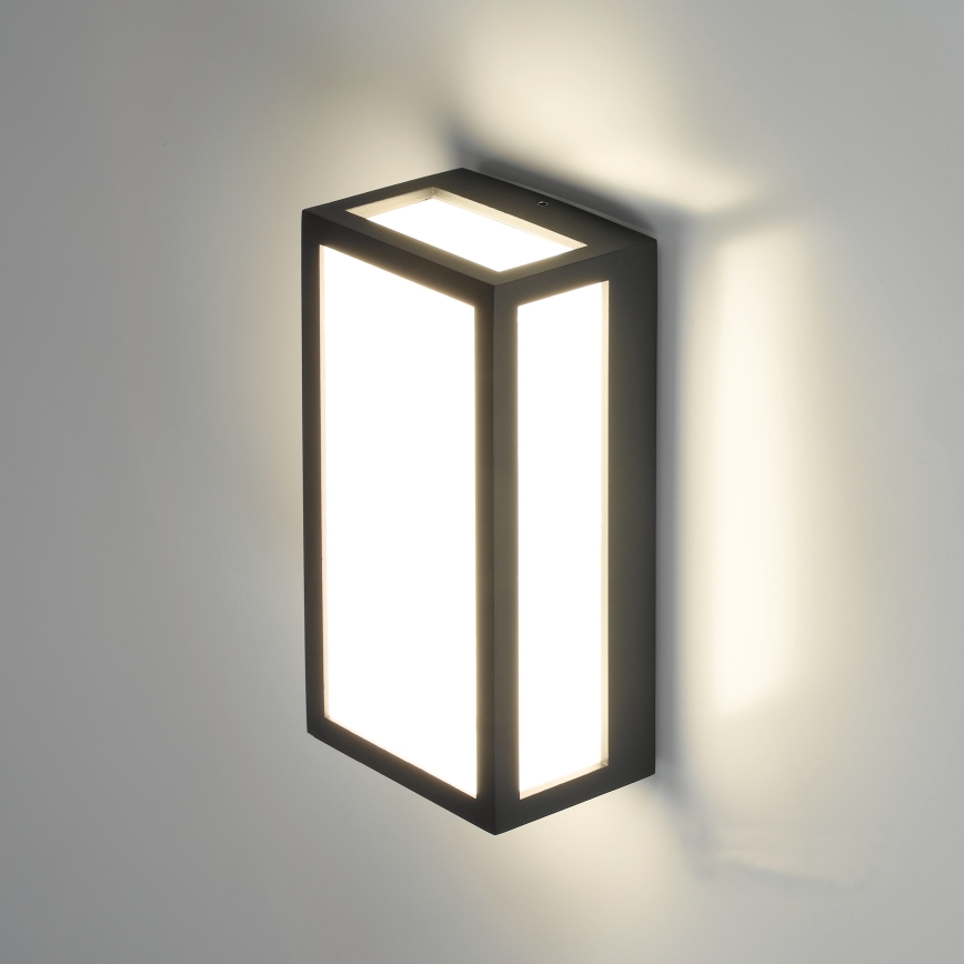 LED Outdoor wall light ENTERA LED/10W/230V 4000K IP54