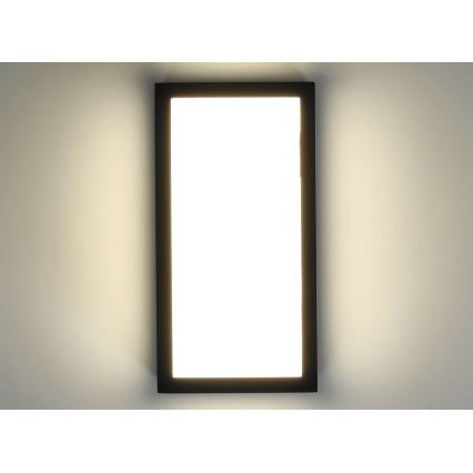 LED Outdoor wall light ENTERA LED/10W/230V 4000K IP54