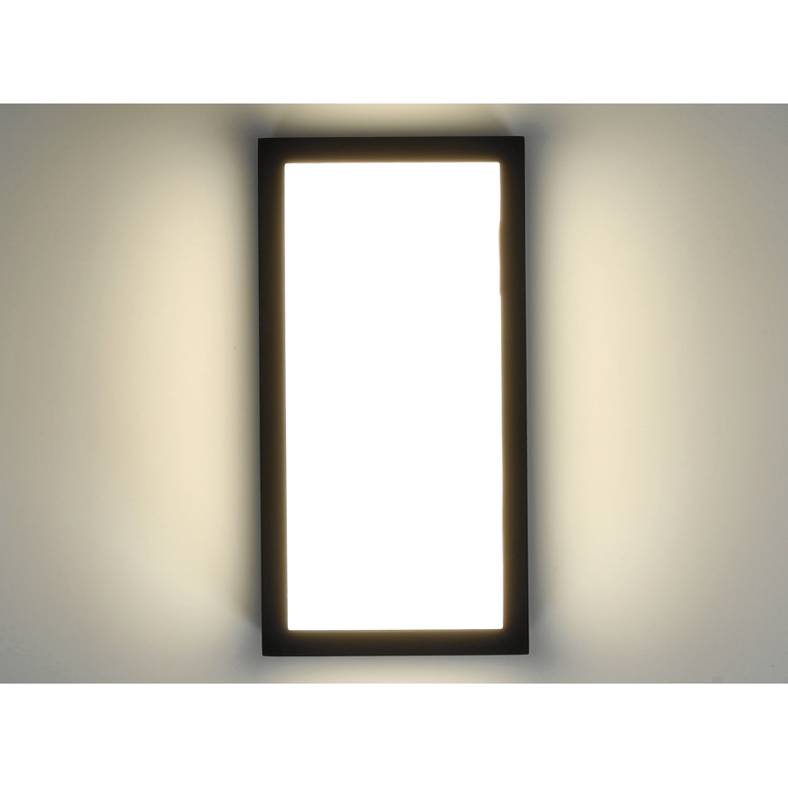 LED Outdoor wall light ENTERA LED/10W/230V 4000K IP54
