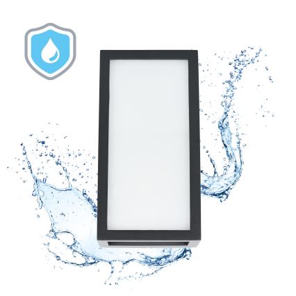 LED Outdoor wall light ENTERA LED/10W/230V 4000K IP54