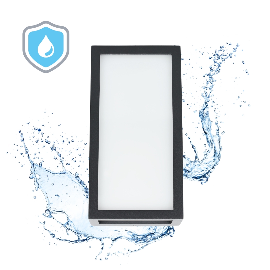 LED Outdoor wall light ENTERA LED/10W/230V 4000K IP54