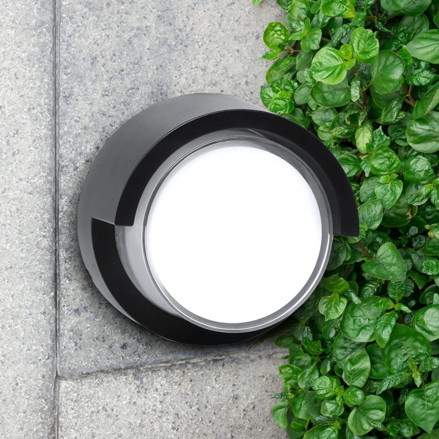 LED Outdoor wall light ESSEN LED/10W/230V IP44 black