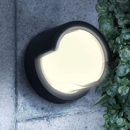 LED Outdoor wall light ESSEN LED/10W/230V IP44 black
