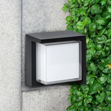 LED Outdoor wall light ESSEN LED/12W/230V IP44 black