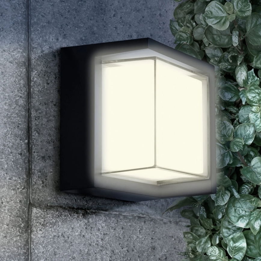 LED Outdoor wall light ESSEN LED/12W/230V IP44 black