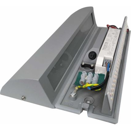 LED Outdoor wall light LED/10W/230V IP54