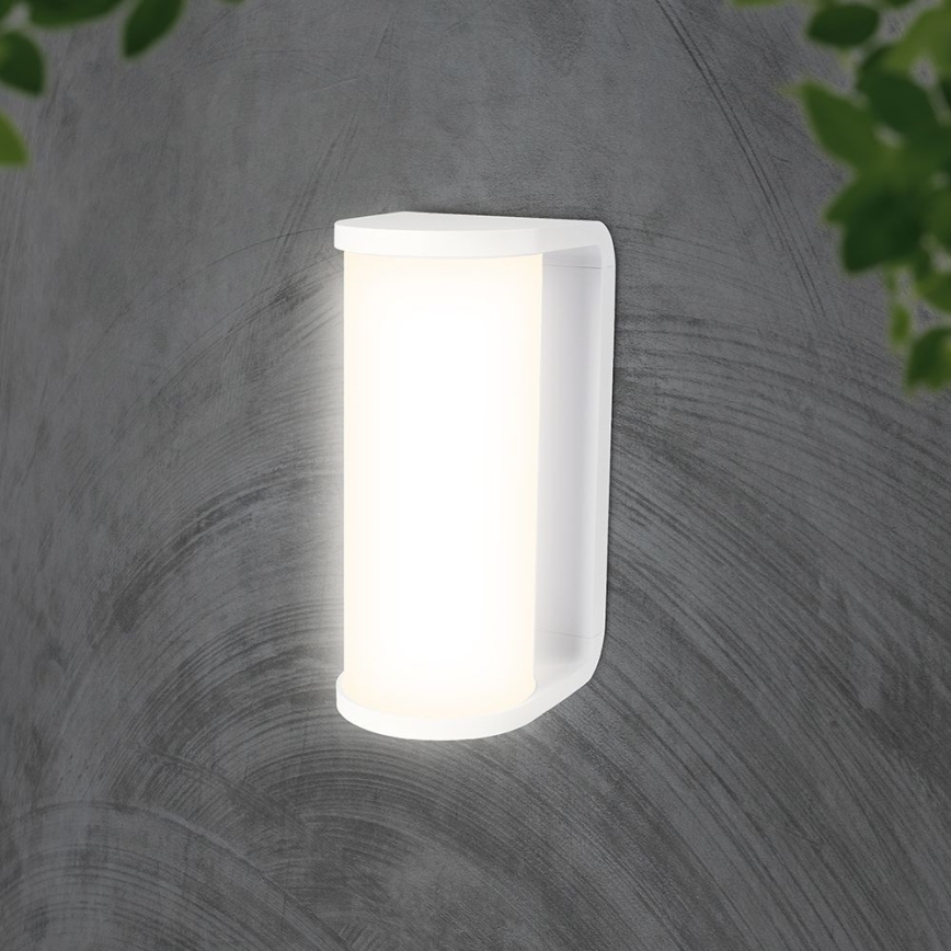 LED Outdoor wall light LED/12W/230V 3000/4200/6500K IP65 white