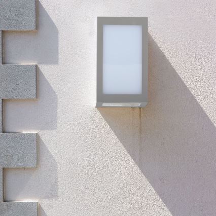 LED Outdoor wall light LED/12W/230V 3000K IP65 grey