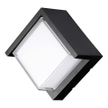 LED Outdoor wall light LED/12W/230V 3000K IP65