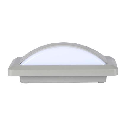 LED Outdoor wall light LED/12W/230V 3000K IP65