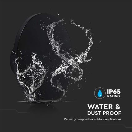 LED Outdoor wall light LED/12W/230V 4000K IP65 black