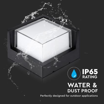 LED Outdoor wall light LED/12W/230V 4000K IP65