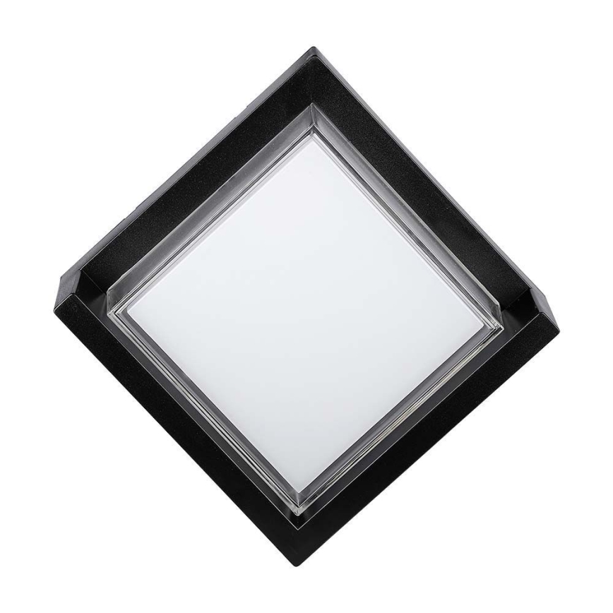 LED Outdoor wall light LED/12W/230V 4000K IP65