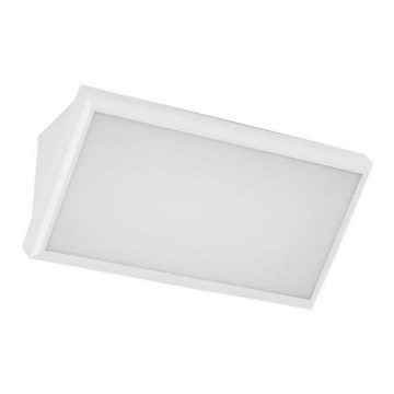 LED Outdoor wall light LED/12W/230V 4000K IP65 white