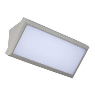 LED Outdoor wall light LED/12W/230V 6400K IP65 grey