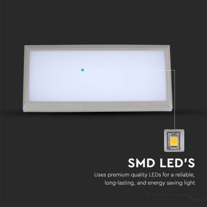 LED Outdoor wall light LED/12W/230V 6400K IP65 grey