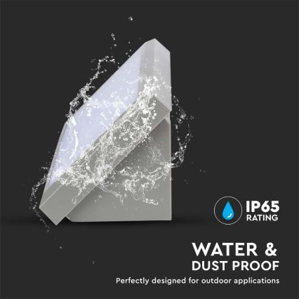 LED Outdoor wall light LED/12W/230V 6400K IP65 grey