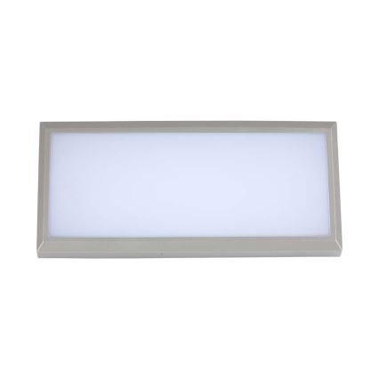 LED Outdoor wall light LED/12W/230V 6400K IP65 grey