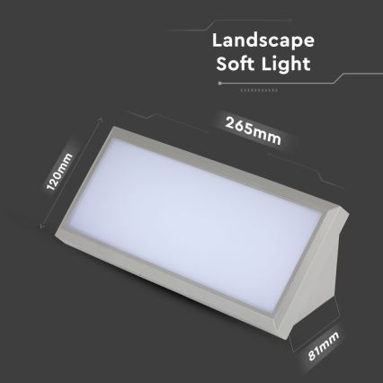 LED Outdoor wall light LED/12W/230V 6400K IP65 grey