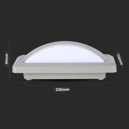 LED Outdoor wall light LED/12W/230V 6400K IP65