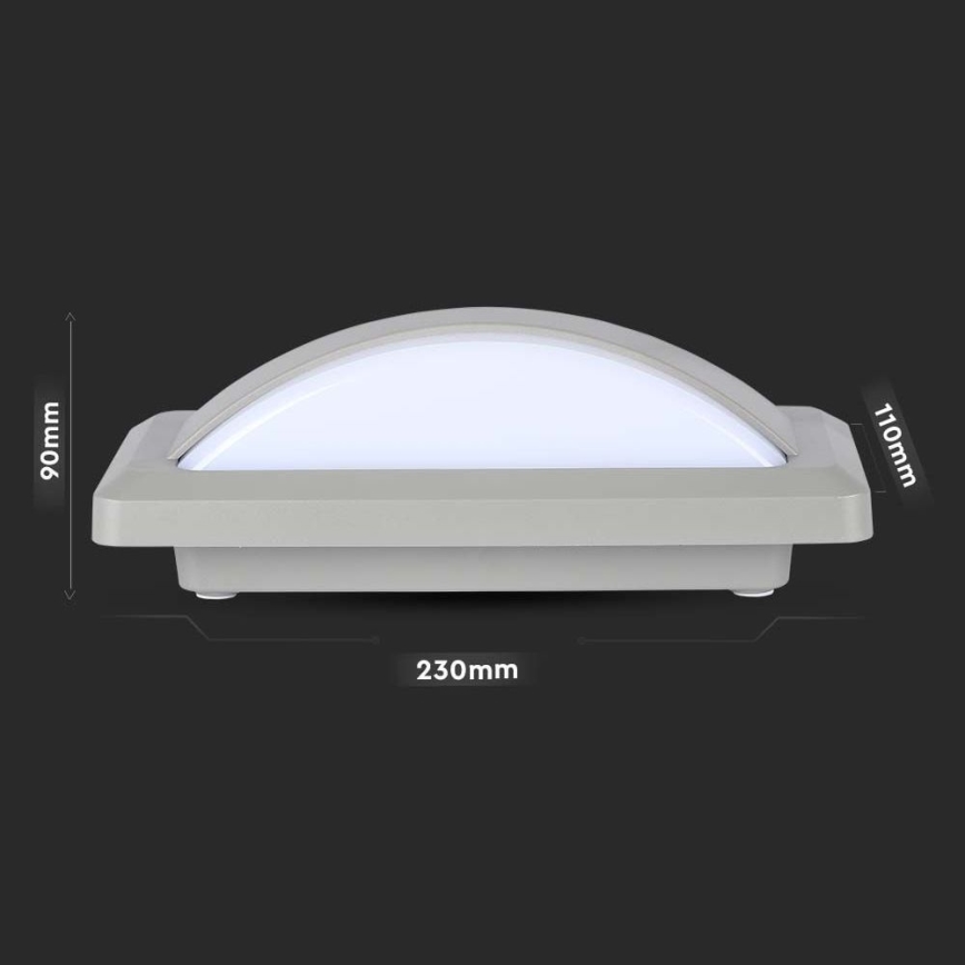 LED Outdoor wall light LED/12W/230V 6400K IP65