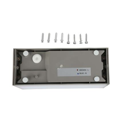 LED Outdoor wall light LED/12W/230V 6400K IP65