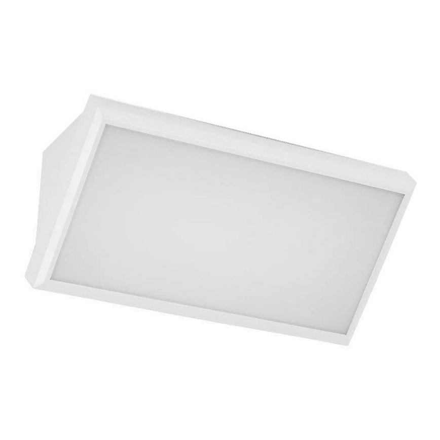 LED Outdoor wall light LED/12W/230V 6400K IP65 white