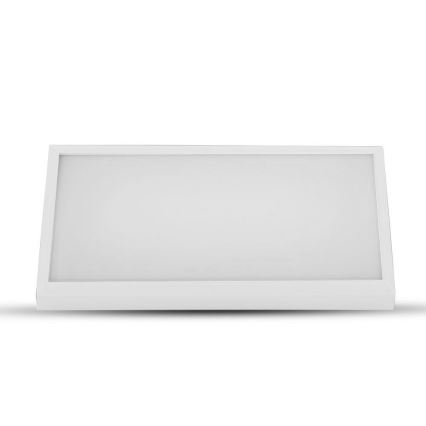 LED Outdoor wall light LED/12W/230V 6400K IP65 white