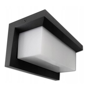 LED Outdoor wall light LED/12W/230V IP54 black