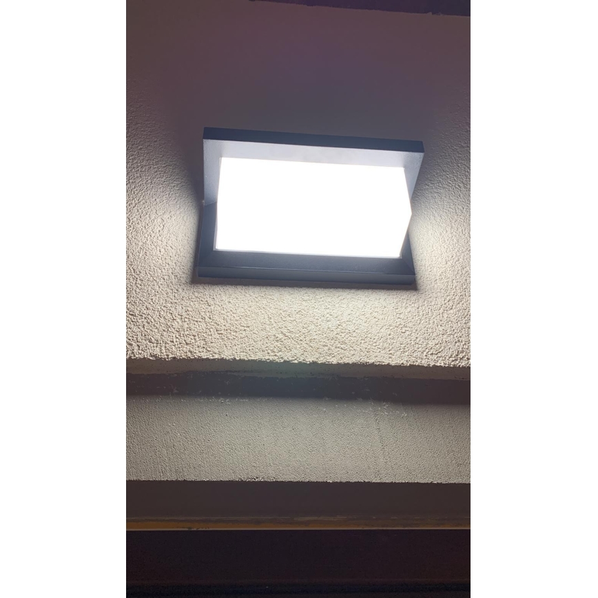 LED Outdoor wall light LED/12W/230V IP54 black