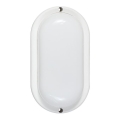 LED Outdoor Wall Light LED/12W/230V IP54 White