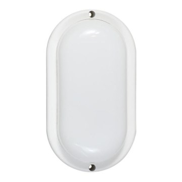 LED Outdoor Wall Light LED/12W/230V IP54 White