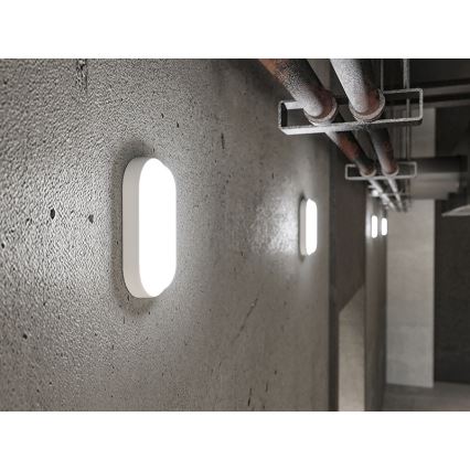 LED Outdoor Wall Light LED/12W/230V IP54 White