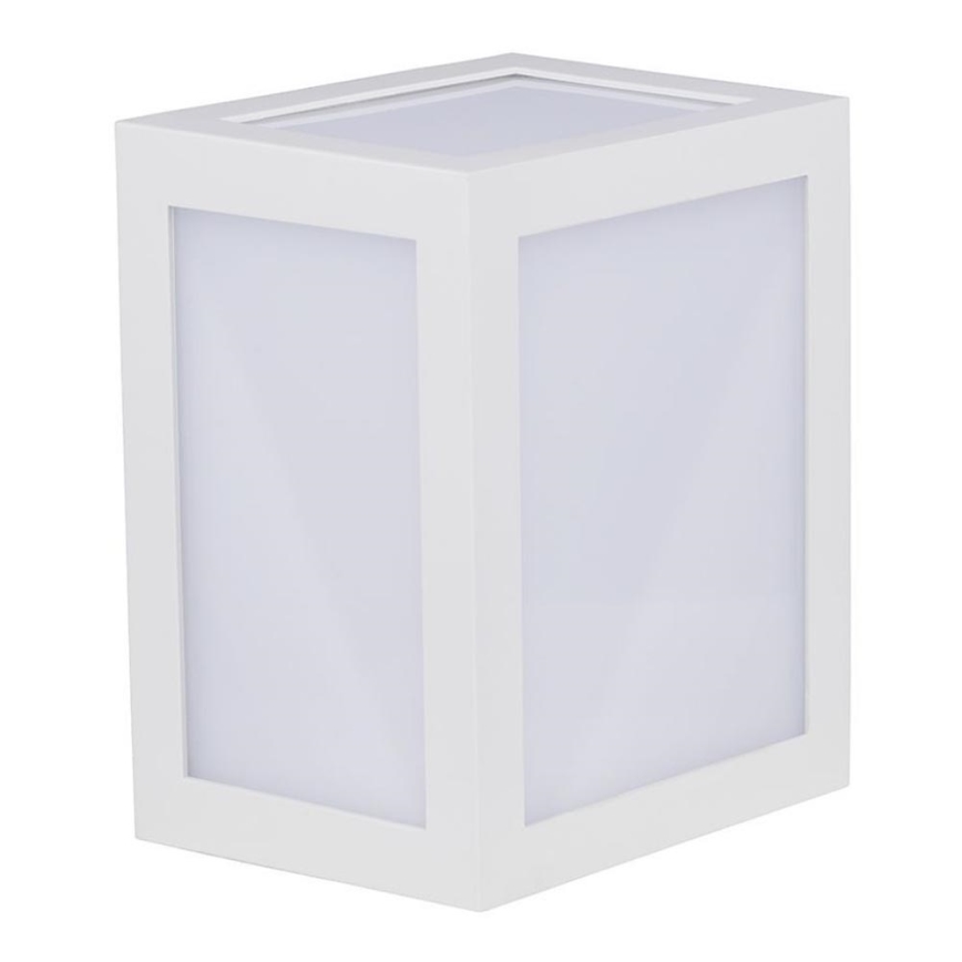 LED Outdoor wall light LED/12W/230V IP65 4000K white