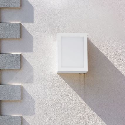 LED Outdoor wall light LED/12W/230V IP65 4000K white