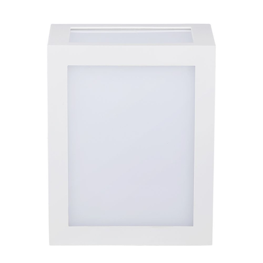 LED Outdoor wall light LED/12W/230V IP65 4000K white