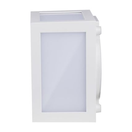 LED Outdoor wall light LED/12W/230V IP65 4000K white