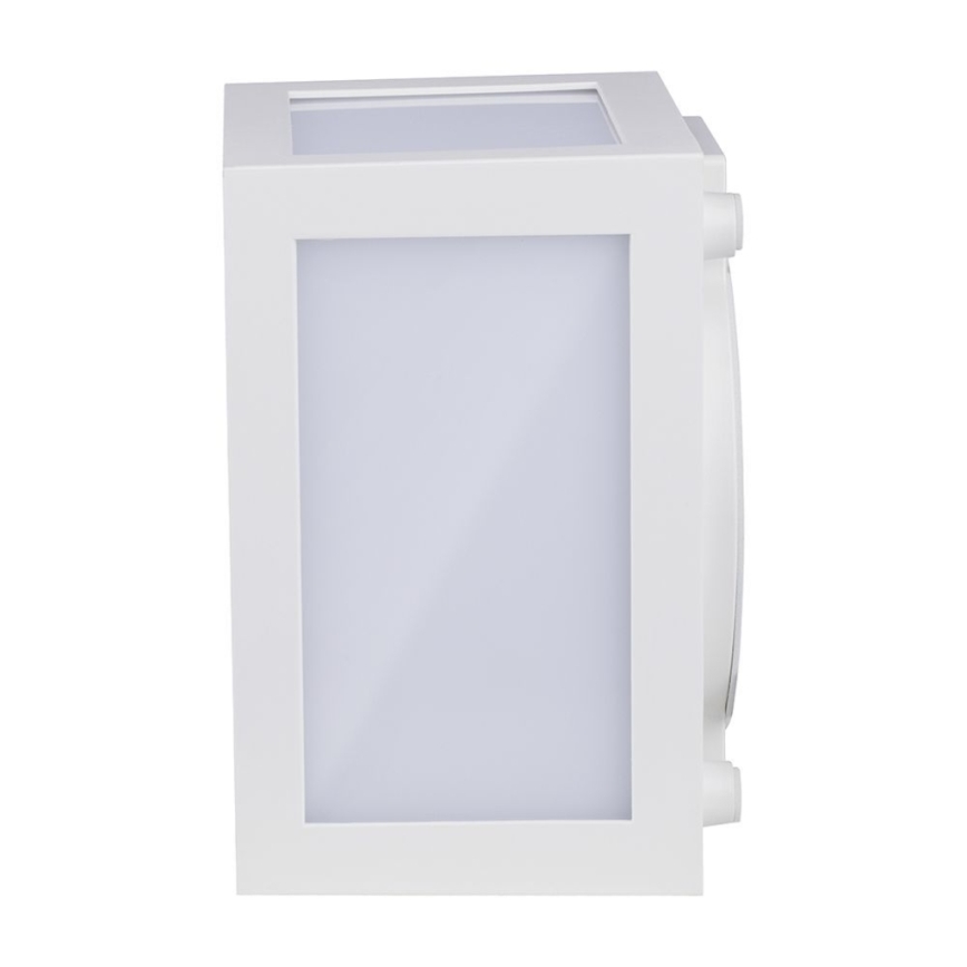LED Outdoor wall light LED/12W/230V IP65 4000K white